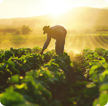 Captura y almacenamiento de carbono (Carbon Farming) nanomof